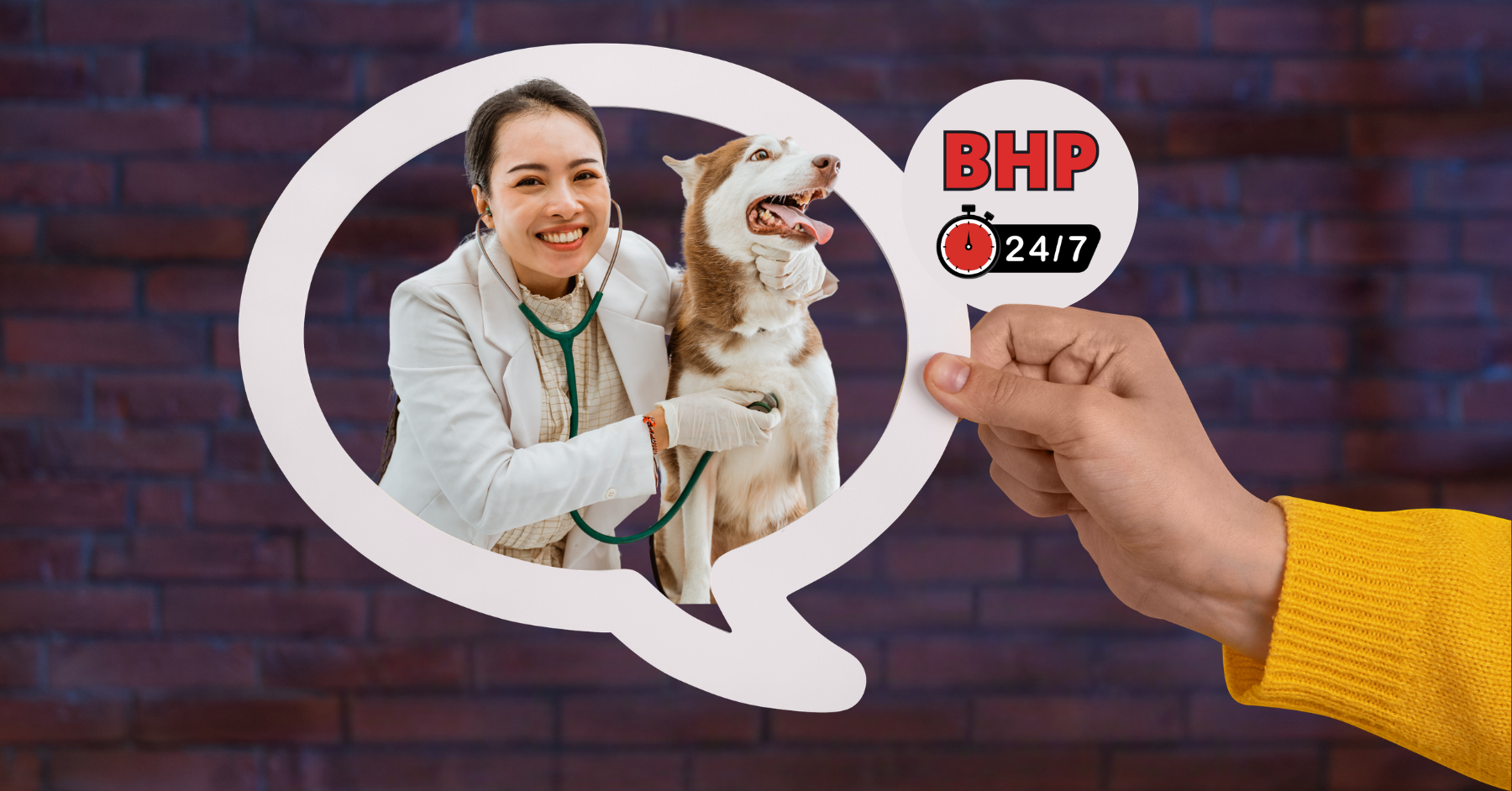 Szkolenie okresowe BHP dla lekarzy weterynarii i techników weterynarii